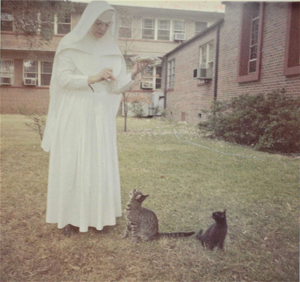 A white nun in a white habit appears to  feed two cats on the hospital grounds.